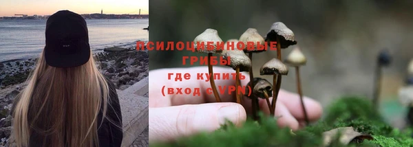 скорость mdpv Елабуга