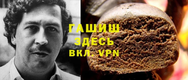 ешки Ельня
