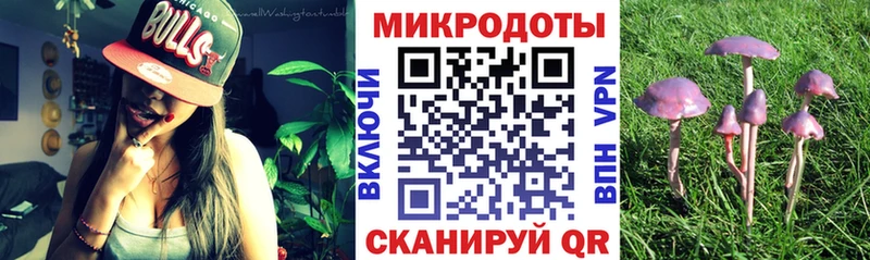 Псилоцибиновые грибы мицелий  Купить закладки  Мещовск 